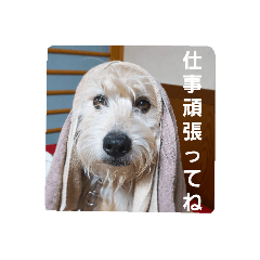 [LINEスタンプ] まめたさんのスタンプ