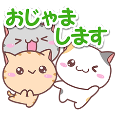 [LINEスタンプ] ねこ4匹3