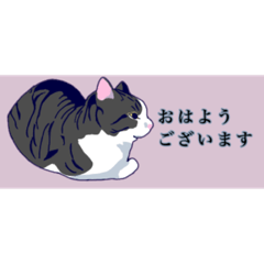 [LINEスタンプ] 省スペースネッコ