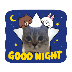 [LINEスタンプ] フレームいっぱい