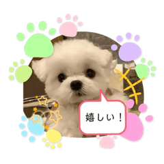 [LINEスタンプ] おひな一族スタンプ