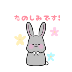 [LINEスタンプ] ふわかわうさぎ【ゆる〜い敬語】