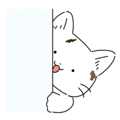 [LINEスタンプ] てんさいかわいいねこのまめだいふく