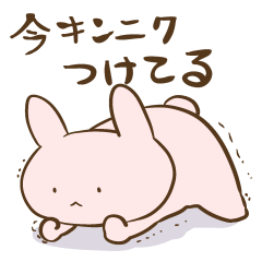 [LINEスタンプ] キンニクあこがれウサギ