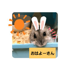 [LINEスタンプ] にこん言います。パート2