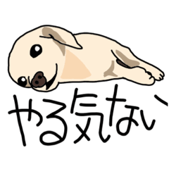 [LINEスタンプ] 弱音を吐くワンコのスタンプ