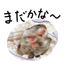 [LINEスタンプ] おししょうスタンプ