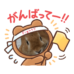 [LINEスタンプ] ウサギのメロちゃん スタンプ5