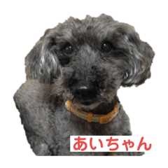 [LINEスタンプ] あいらぶしょう