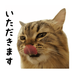 [LINEスタンプ] ジャスくんとむぎさん3