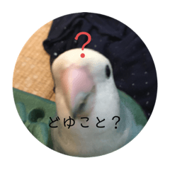 [LINEスタンプ] 愛鳥ぴーすけ！！！②