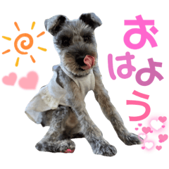 [LINEスタンプ] らんらんちゃんのスタンプ