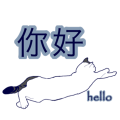 [LINEスタンプ] ネッコネコ台湾語2