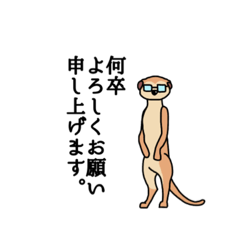 [LINEスタンプ] 生真面目なミーアキャット