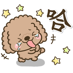 [LINEスタンプ] 大人 每天貼圖超可愛♡Q毛小貴賓