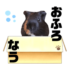 [LINEスタンプ] もりぞうくん。