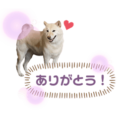 [LINEスタンプ] KONAちゃん①