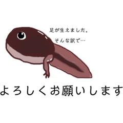 [LINEスタンプ] おたまじゃくしスタンプ