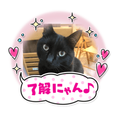 [LINEスタンプ] ヒューグラント