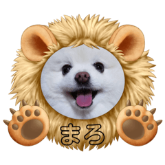 [LINEスタンプ] ポメラニアンまろ