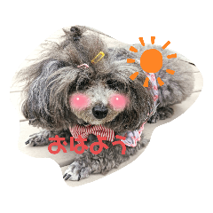 [LINEスタンプ] かわいいめいちゃんの日常