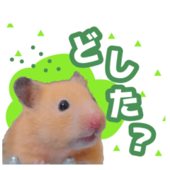 [LINEスタンプ] きなこの使いやすいスタンプ②