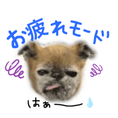 [LINEスタンプ] まりちゃんandりんちゃん