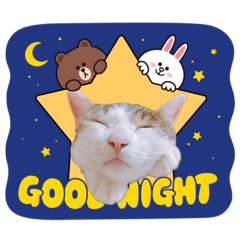 [LINEスタンプ] かわいいの天才 Part4