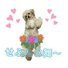 [LINEスタンプ] 愛ゆえに3