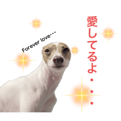 [LINEスタンプ] 菅原家の動物達5