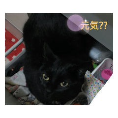 [LINEスタンプ] happynagi！！！！！！！！
