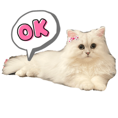[LINEスタンプ] ななちゃんペルシャチンチラシルバー