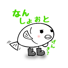 [LINEスタンプ] “鮮魚市場のうおさん” 博多魚屋番頭