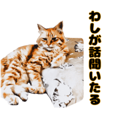 [LINEスタンプ] びっきーと愉快な仲間たちの日常