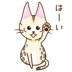 [LINEスタンプ] ベンガル三兄弟