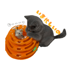 [LINEスタンプ] とろろちゃんの日常1