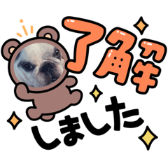 [LINEスタンプ] alexandre/new stamp