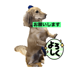 [LINEスタンプ] りくりくのお願い