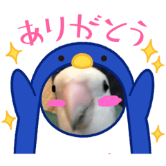 [LINEスタンプ] 愛鳥ぴーすけ！！！②(追加版)
