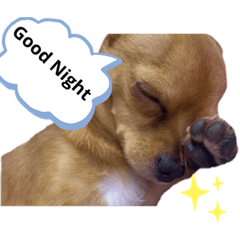 [LINEスタンプ] マロニーpart2