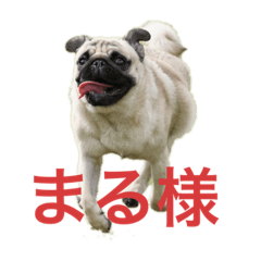 [LINEスタンプ] marutan0704