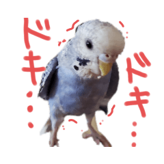 [LINEスタンプ] すけかく5