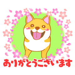 [LINEスタンプ] カワイヌスタンプ