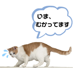 [LINEスタンプ] 猫と子供（3）