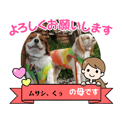 [LINEスタンプ] ムサシ＆くぅ秋