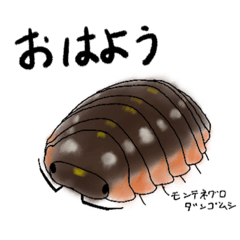 [LINEスタンプ] 色々ダンゴムシ