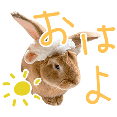 [LINEスタンプ] うさぎのロッタ