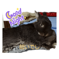 [LINEスタンプ] うさ＆ラビィ②