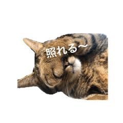 [LINEスタンプ] hase_zoo3
