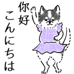 [LINEスタンプ] 服を着た動物たち(中国語と日本語)